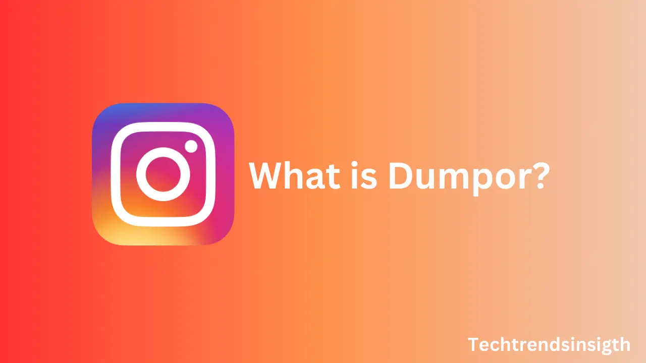 What is Dumpor - A complete user’s guide